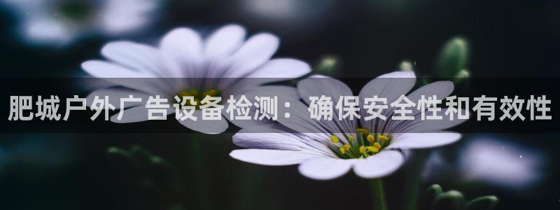 杏宇平台代理怎么样：肥城户外广告设备检测：确保安全性和有效性