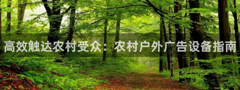 杏宇平台提现为什么这么久呢：高效触达农村受众：农村户外广告设备指南
