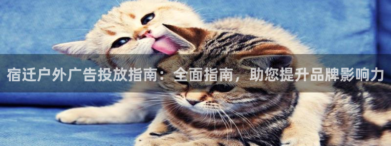 杏宇平台代理怎么赚钱的：宿迁户外广告投放指南：全面指南，助您提升品牌影响力