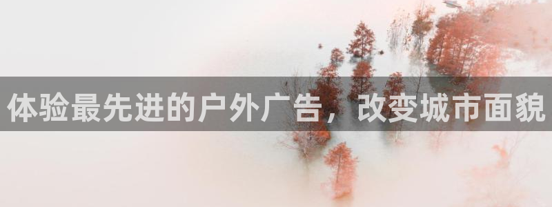 杏宇平台怎么样赚钱