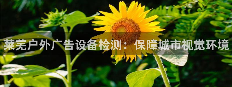 杏宇官方平台官网：莱芜户外广告设备检测：保障城市视觉环境