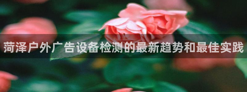 杏宇平台怎么样知乎：菏泽户外广告设备检测的最新趋势和最佳实践
