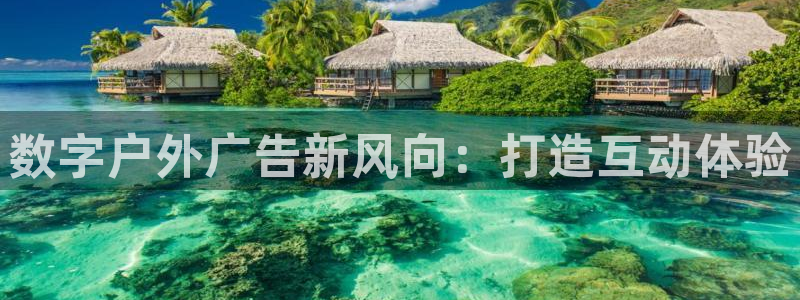 杏宇平台招商怎么样