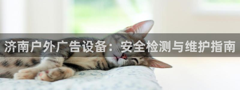杏宇官方平台官网