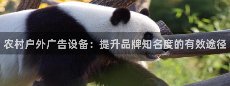 杏宇平台代理怎么赚钱