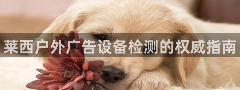 杏宇官方平台官网入口：莱西户外广告设备检测的权威指南