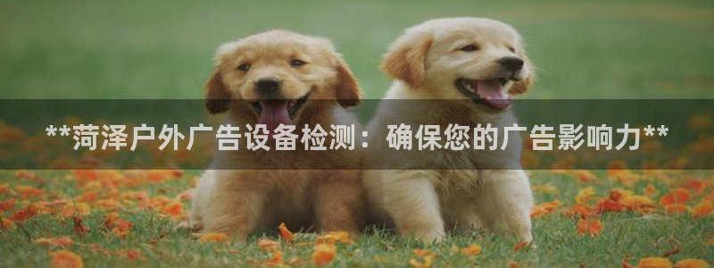 杏宇平台招商
