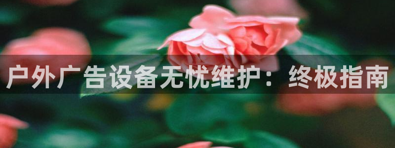 杏宇平台代理怎么赚钱的