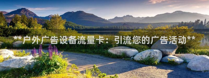 杏宇平台代理多少钱：**户外广告设备流量卡：引流您的广告活动**
