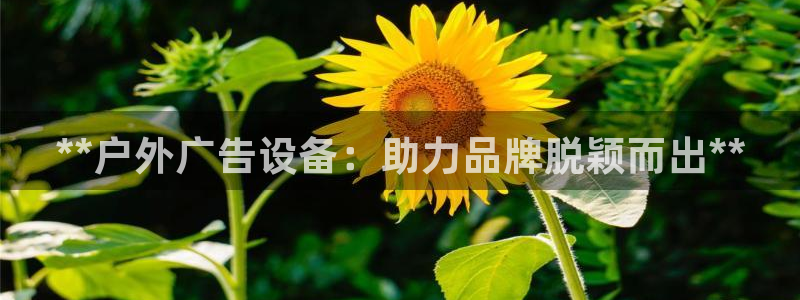 杏宇平台客服：**户外广告设备：助力品牌脱颖而出**