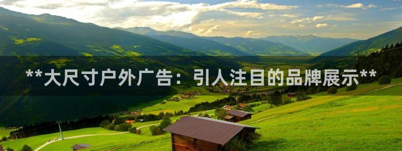 杏宇平台代理多少钱一个：**大尺寸户外广告：引人注目的品牌展示**