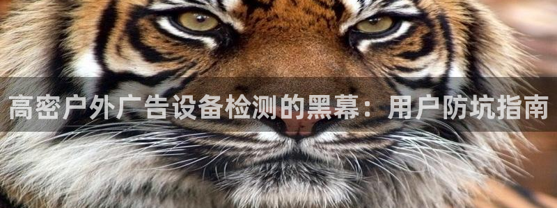 杏宇平台代理多少钱一个