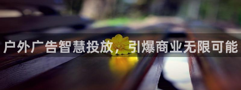 杏宇平台开户