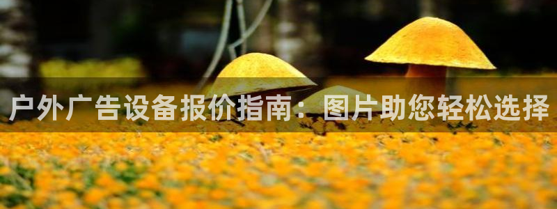 杏宇平台代理多少钱