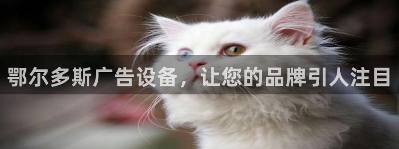 杏宇平台代理怎么赚钱的