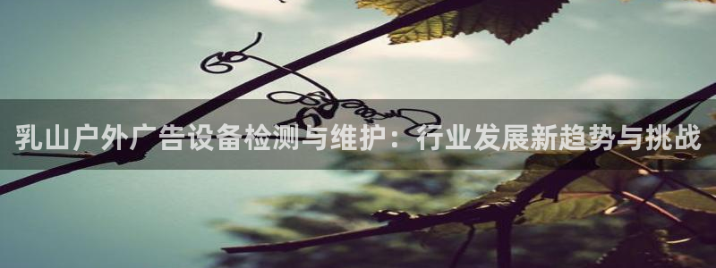 杏宇平台登录步骤是什么：乳山户外广告设备检测与维护：行业发展新趋势与挑战