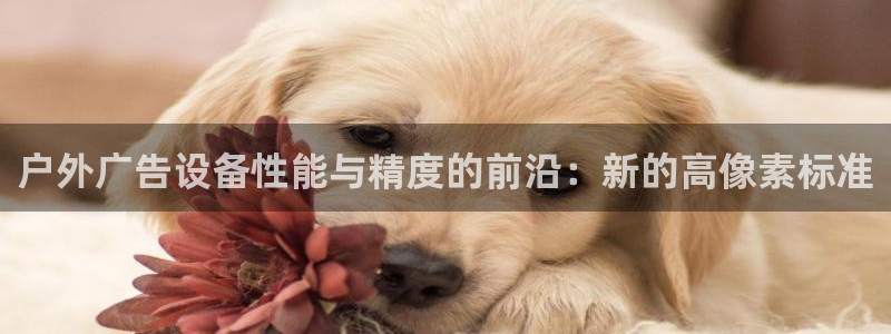 杏宇平台总代理电话：户外广告设备性能与精度的前沿：新的高像素标准