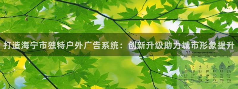 杏宇平台招商怎么样：打造海宁市独特户外广告系统：创新升级助力城市形象提升