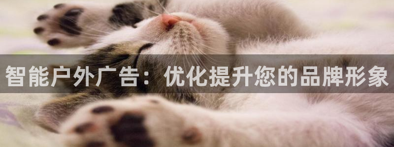 杏宇平台怎么样知乎：智能户外广告：优化提升您的品牌形象