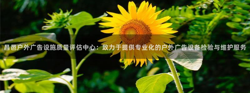 杏宇平台提现为什么这么久呢：昌邑户外广告设施质量评估中心：致力于提供专业化的户外广告设备检验与维护服务