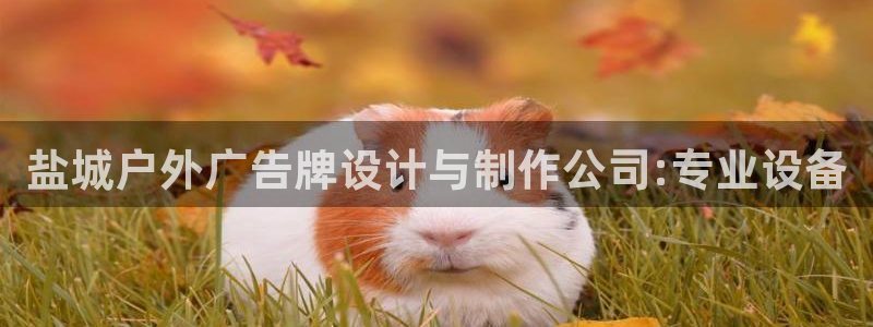 杏宇平台代理怎么样赚钱：盐城户外广告牌设计与制作公司:专业设备