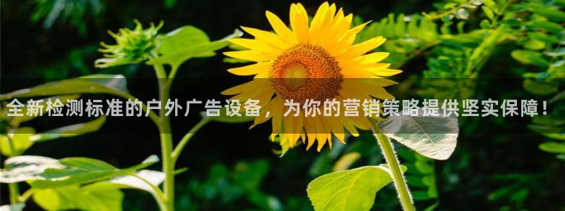 杏宇平台注册地址：全新检测标准的户外广告设备，为你的营销策略提供坚实保障！