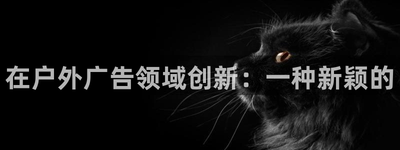 杏宇平台代理：在户外广告领域创新：一种新颖的