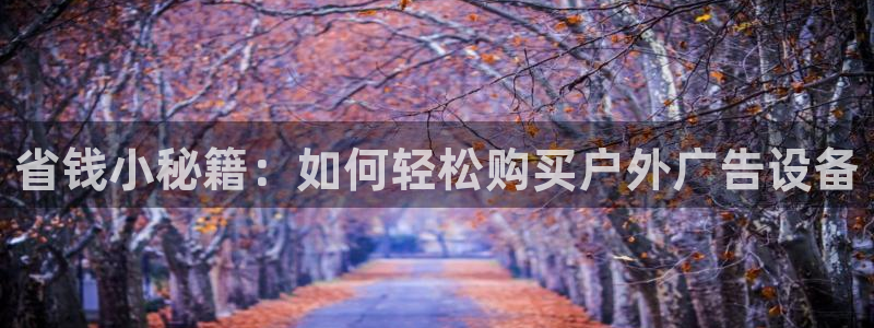 杏宇平台怎么样：省钱小秘籍：如何轻松购买户外广告设备