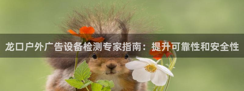 杏宇平台代理怎么样啊：龙口户外广告设备检测专家指南：提升可靠性和安全性
