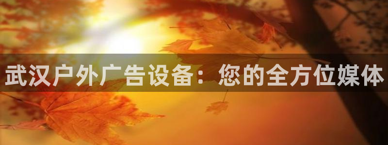 杏宇平台登录步骤