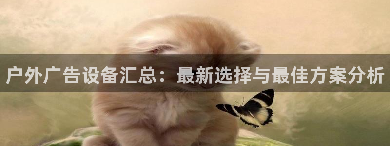 杏宇平台代理多少钱