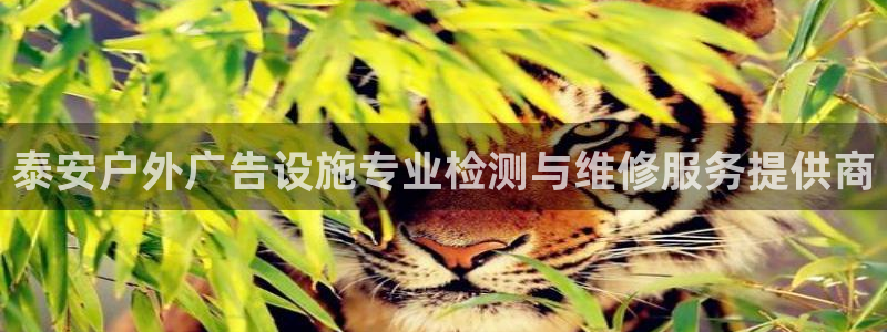 杏宇平台开户：泰安户外广告设施专业检测与维修服务提供商
