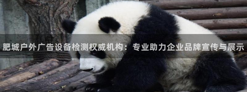 杏宇平台怎么样：肥城户外广告设备检测权威机构：专业助力企业品牌宣传与展示