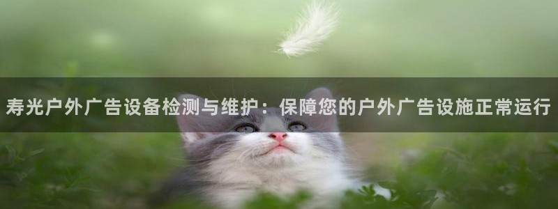 杏宇平台总代理：寿光户外广告设备检测与维护：保障您的户外广告设施正常运行