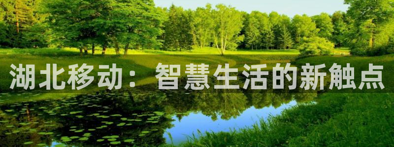 杏宇平台总代理是谁：湖北移动：智慧生活的