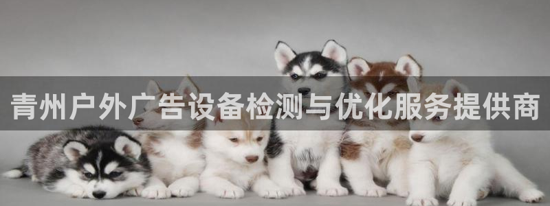 杏宇平台招商：青州户外广告设备检测与优化
