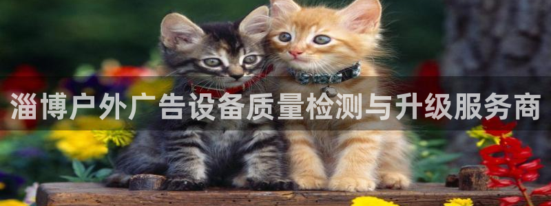 杏宇平台代理多少钱一个：淄博户外广告设备